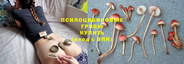 Альфа ПВП Армянск