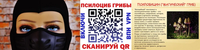 Псилоцибиновые грибы Psilocybine cubensis  где найти наркотики  Тара 